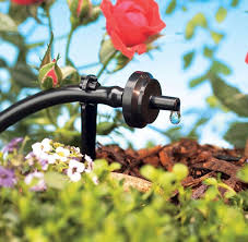 Sistema de riego para tulipanes