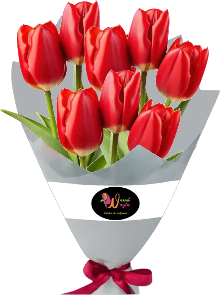 tulipanes rojos - Warmi Wayta