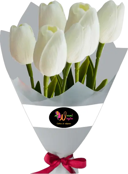 tulipanes blancos - Warmi Wayta