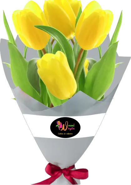 tulipanes amarillos - Warmi Wayta